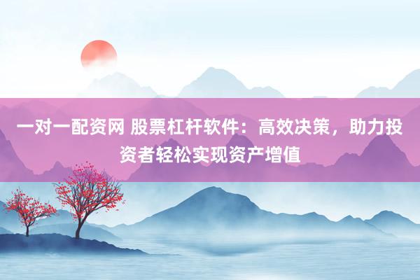 一对一配资网 股票杠杆软件：高效决策，助力投资者轻松实现资产增值