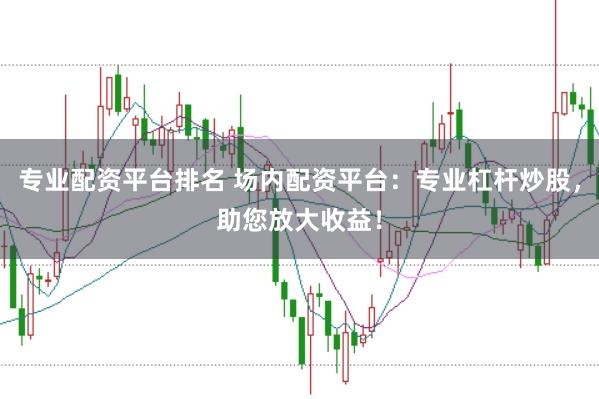 专业配资平台排名 场内配资平台：专业杠杆炒股，助您放大收益！