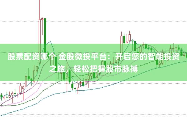 股票配资哪个 金股微投平台：开启您的智能投资之旅，轻松把握股市脉搏