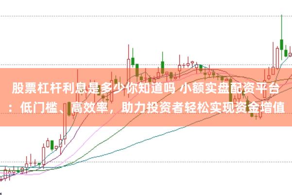 股票杠杆利息是多少你知道吗 小额实盘配资平台：低门槛、高效率，助力投资者轻松实现资金增值