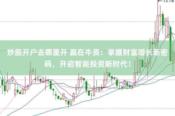 炒股开户去哪里开 赢在牛资：掌握财富增长新密码，开启智能投资新时代！