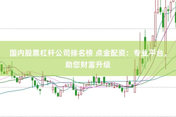 国内股票杠杆公司排名榜 点金配资：专业平台，助您财富升级