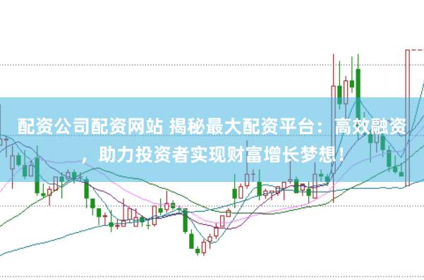 配资公司配资网站 揭秘最大配资平台：高效融资，助力投资者实现财富增长梦想！