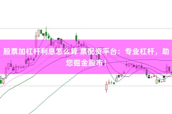股票加杠杆利息怎么算 票配资平台：专业杠杆，助您掘金股市！