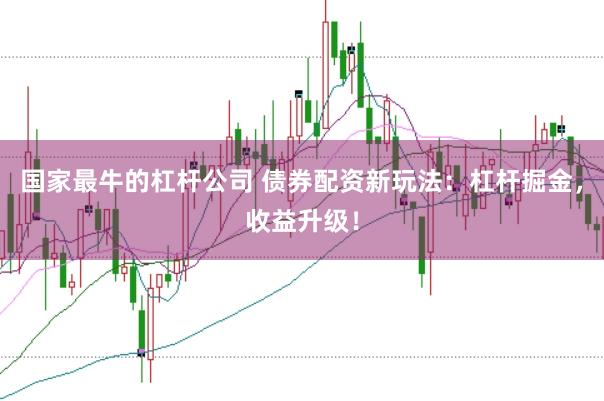 国家最牛的杠杆公司 债券配资新玩法：杠杆掘金，收益升级！
