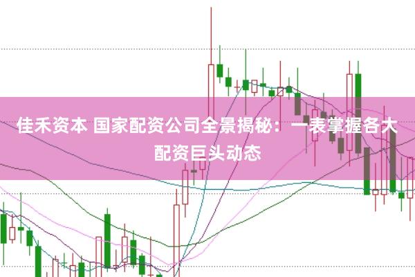 佳禾资本 国家配资公司全景揭秘：一表掌握各大配资巨头动态