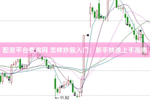 配资平台查询网 怎样炒股入门：新手快速上手指南