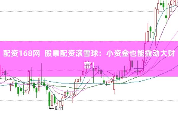 配资168网  股票配资滚雪球：小资金也能撬动大财富！