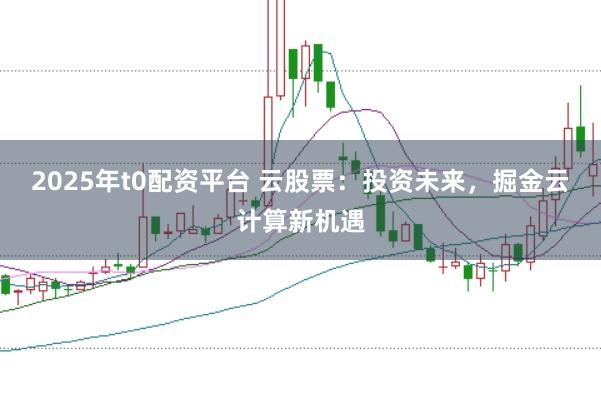 2025年t0配资平台 云股票：投资未来，掘金云计算新机遇