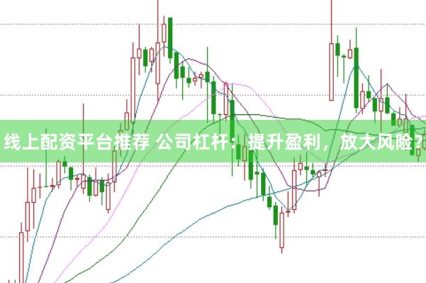 线上配资平台推荐 公司杠杆：提升盈利，放大风险？
