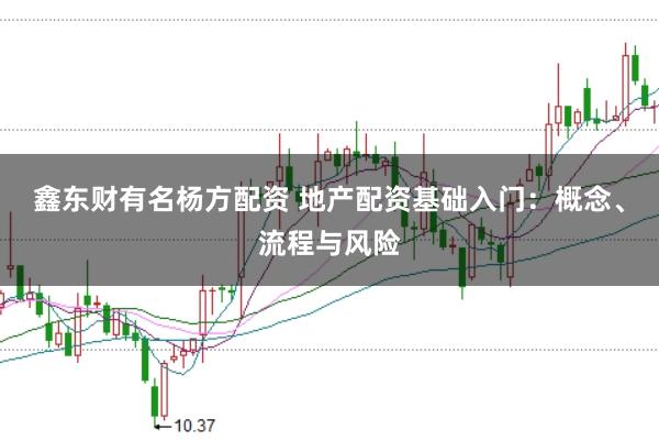 鑫东财有名杨方配资 地产配资基础入门：概念、流程与风险