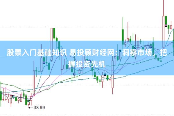 股票入门基础知识 易投顾财经网：洞察市场，把握投资先机