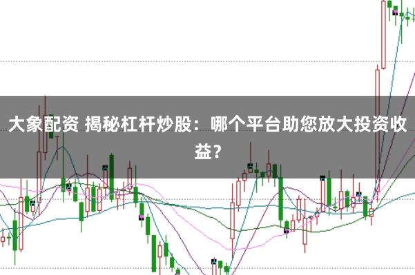 大象配资 揭秘杠杆炒股：哪个平台助您放大投资收益？