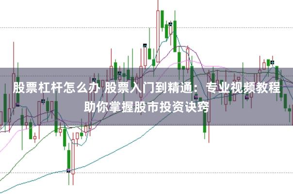 股票杠杆怎么办 股票入门到精通：专业视频教程助你掌握股市投资诀窍