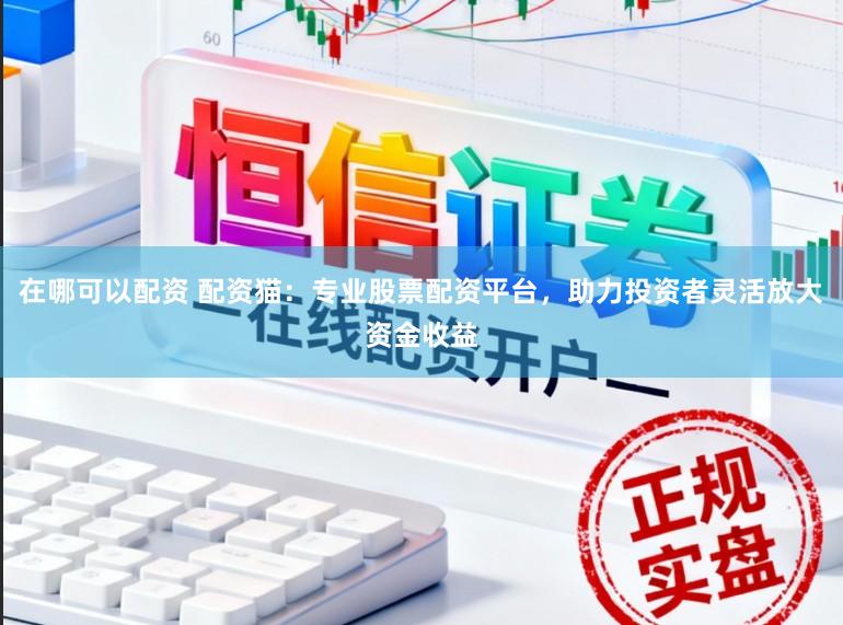 在哪可以配资 配资猫：专业股票配资平台，助力投资者灵活放大资金收益